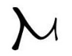 M-IS logo